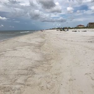 Meet your Posher, Molly